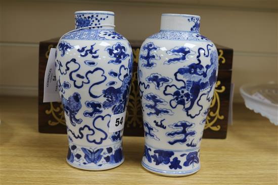 A pair of Chinese blue and white vases